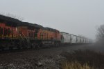 BNSF 6003